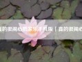 真的很闹心酷家乐手机版「真的很闹心」