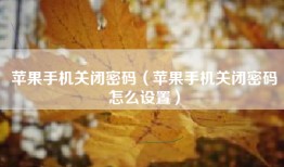 苹果手机关闭密码（苹果手机关闭密码怎么设置）