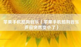 苹果手机酷狗音乐（苹果手机酷狗音乐声音突然变小了）