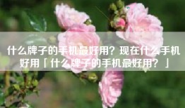 什么牌子的手机最好用？现在什么手机好用「什么牌子的手机最好用？」