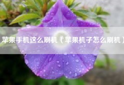 苹果手机这么刷机（苹果机子怎么刷机）