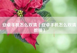 安卓手机怎么双清（安卓手机怎么双清教程）