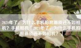 2021年了，为什么手机拍照画质还不如相机？手机相机「2021年了，为什么手机拍照画质还不如相机？」