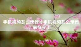 手机视频怎么录音（手机视频怎么录音转文字）