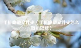 手机隐藏文件夹（手机隐藏文件夹怎么取消隐藏）