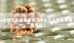 手机怎么屏幕录像（手机怎么屏幕录像有声音）