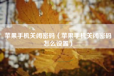 苹果手机关闭密码（苹果手机关闭密码怎么设置）