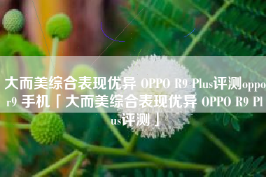 大而美综合表现优异 OPPO R9 Plus评测oppor9 手机「大而美综合表现优异 OPPO R9 Plus评测」