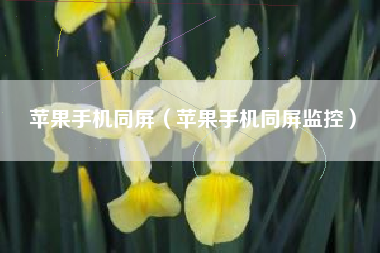 苹果手机同屏（苹果手机同屏监控）