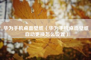 华为手机桌面壁纸（华为手机桌面壁纸自动更换怎么设置）