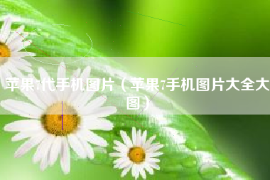 苹果7代手机图片（苹果7手机图片大全大图）