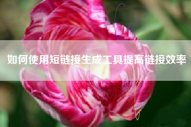 如何使用短链接生成工具提高链接效率